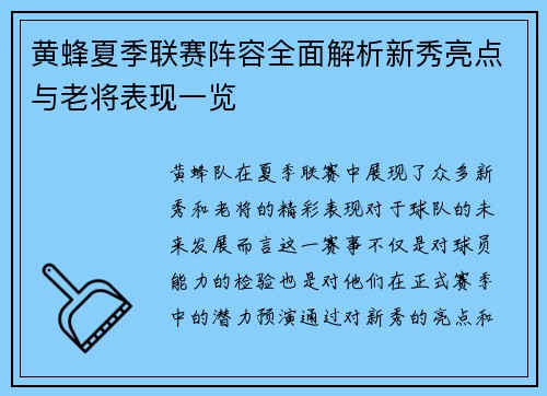 黄蜂夏季联赛阵容全面解析新秀亮点与老将表现一览